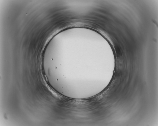 X0000096211437200802081451