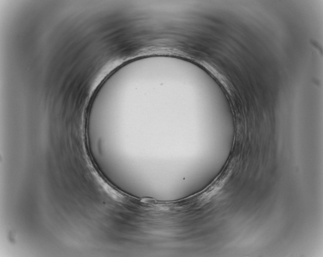 X0000096211438200802081451