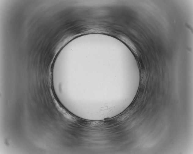 X0000096211439200802081451