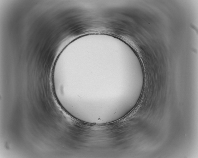 X0000096211440200802081451