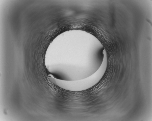 X0000096211441200802081450