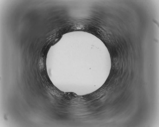 X0000096211442200802081450