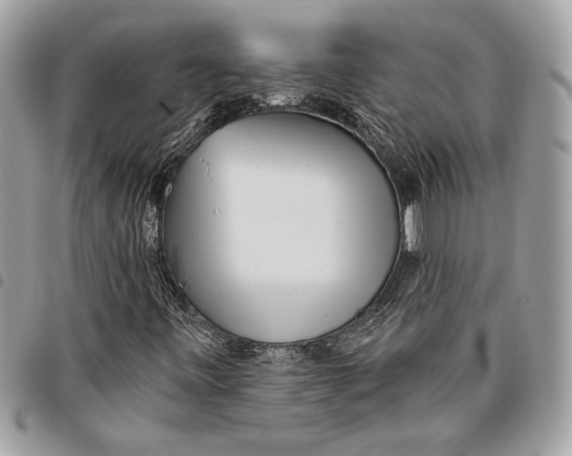 X0000096211443200802081450