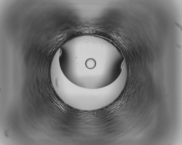 X0000096211444200802081450