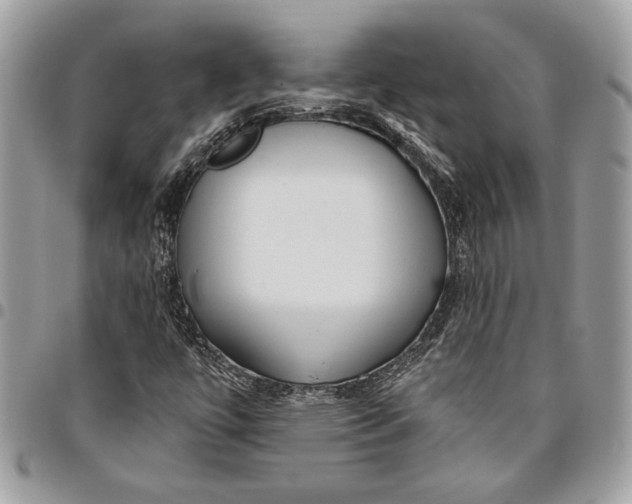 X0000096211447200802081450