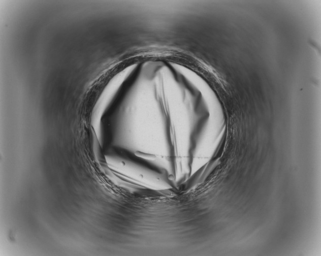 X0000096211448200802081450