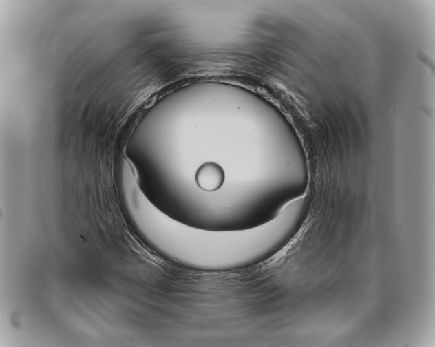 X0000096211449200802081450