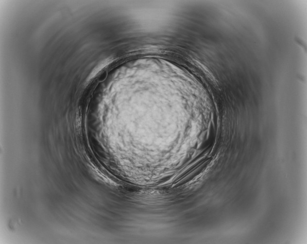 X0000096211450200802081450