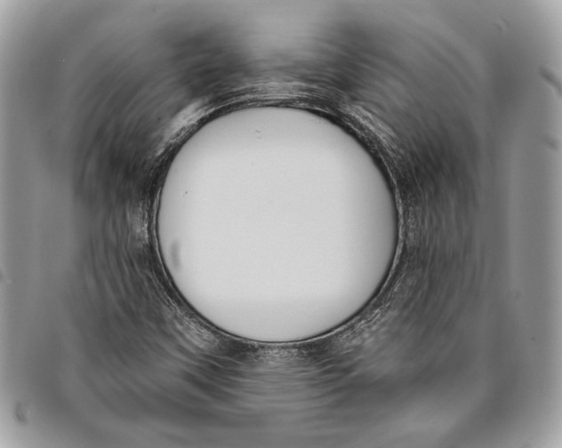 X0000096211451200802081450