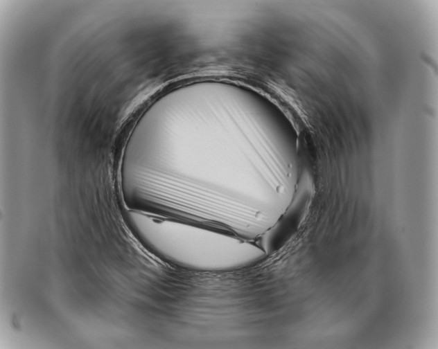 X0000096211452200802081450