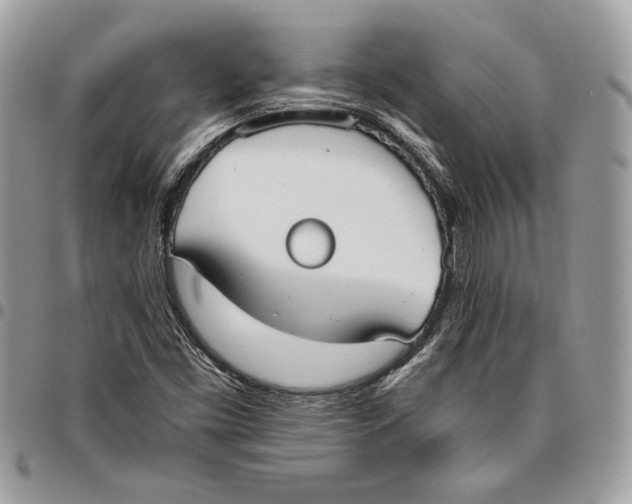 X0000096211453200802081450