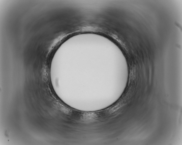 X0000096211454200802081450