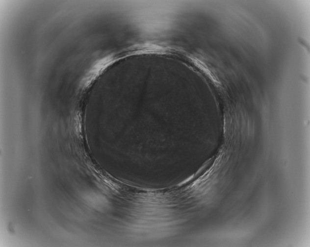 X0000096211455200802081450