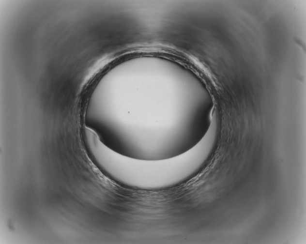 X0000096211456200802081450