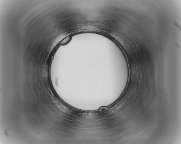 X0000096211458200802081450