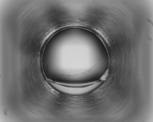 X0000096211460200802081450