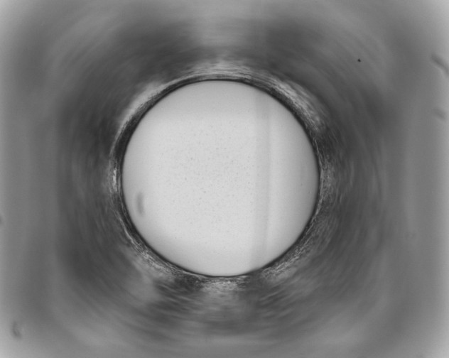 X0000096211462200802081450