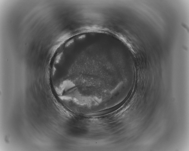 X0000096211463200802081450