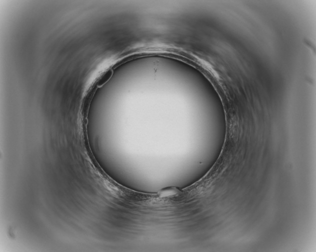 X0000096211464200802081450