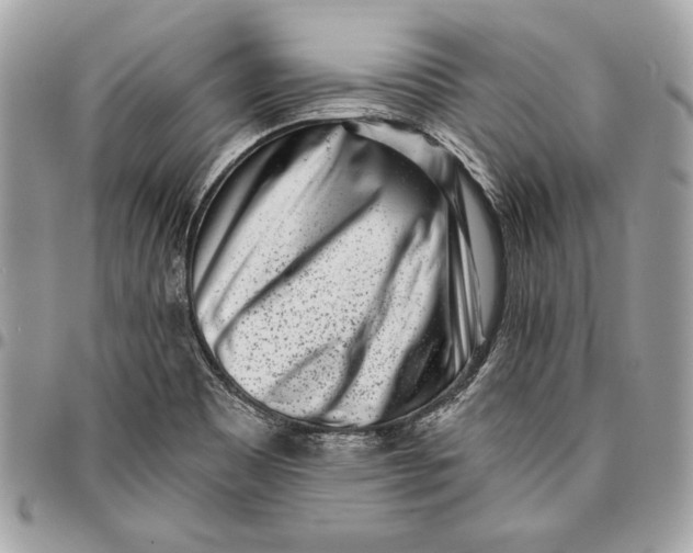 X0000096211465200802081450