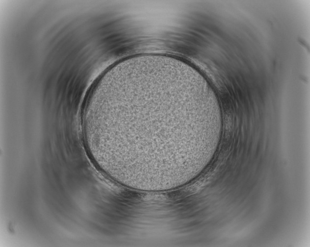 X0000096211466200802081450