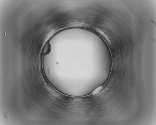 X0000096211467200802081450