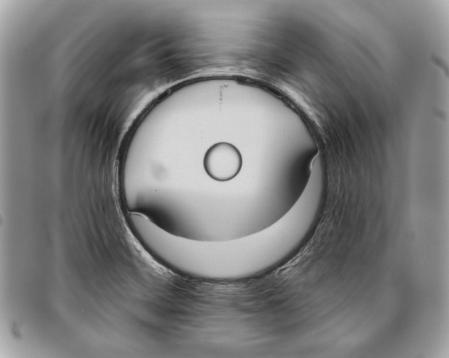 X0000096211468200802081450