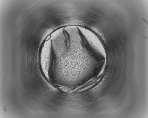 X0000096211469200802081450