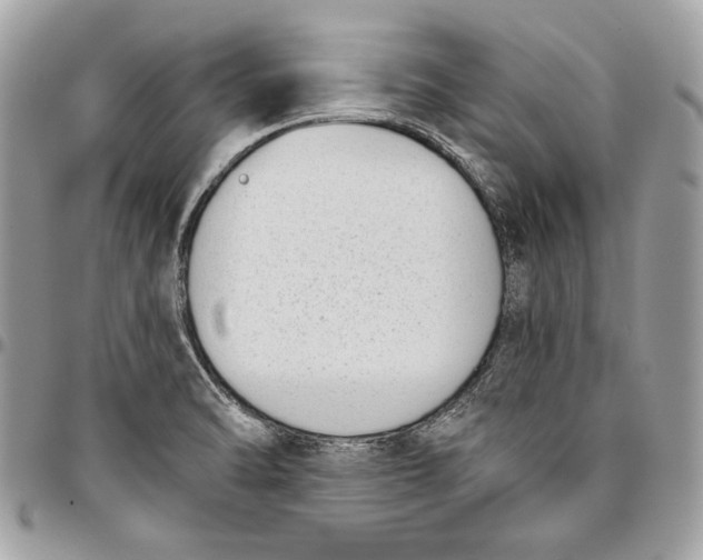 X0000096211470200802081450