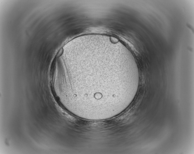 X0000096211471200802081450