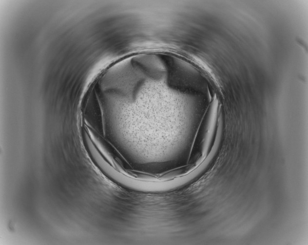 X0000096211472200802081450