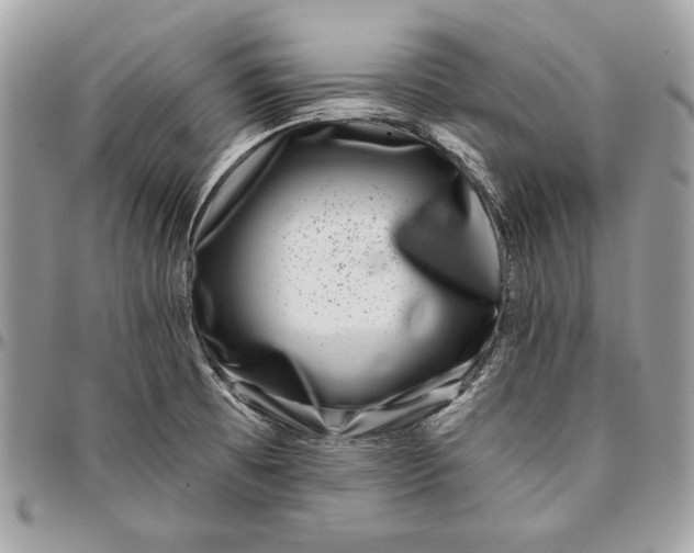 X0000096211473200802081450