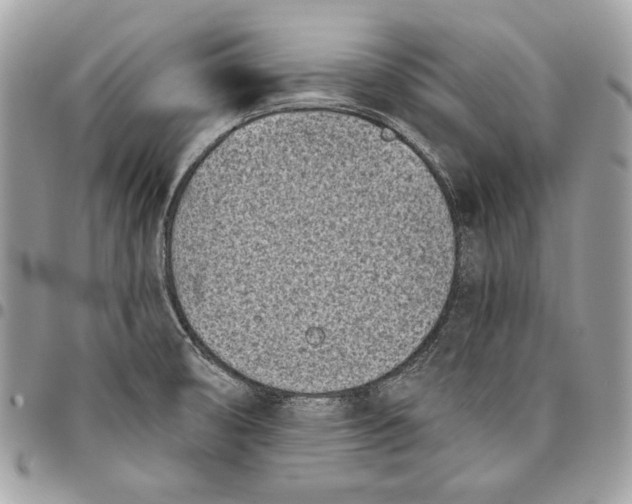 X0000096211474200802081450