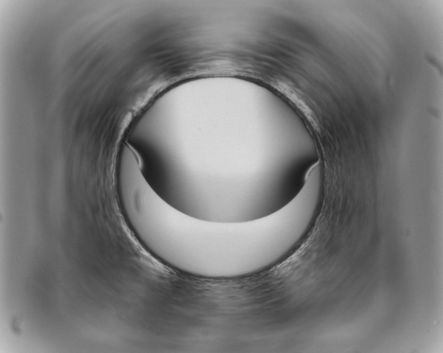 X0000096211477200802081450