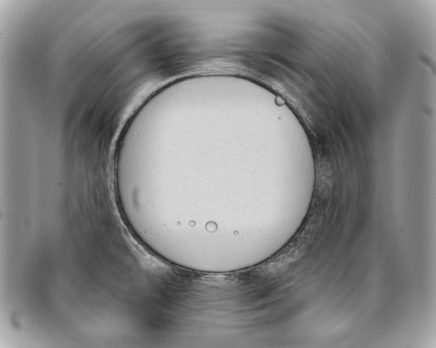 X0000096211478200802081450