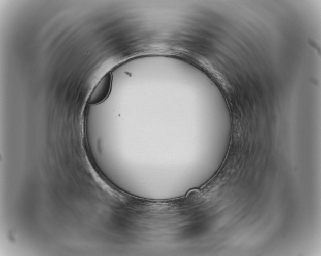 X0000096211479200802081450