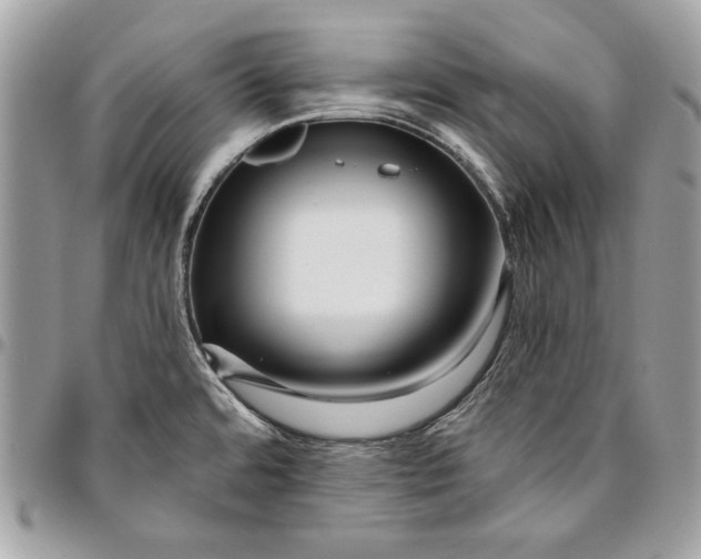 X0000096211480200802081450