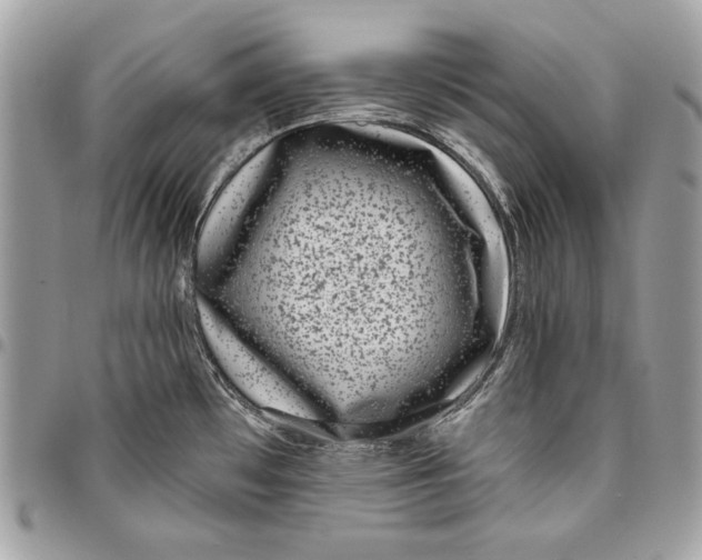 X0000096211481200802081450