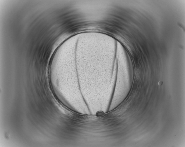 X0000096211482200802081450