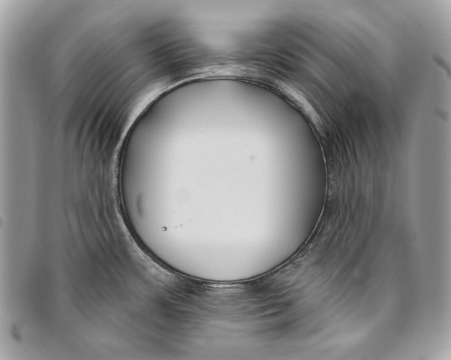 X0000096211483200802081450