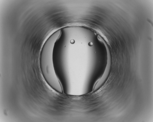 X0000096211484200802081450