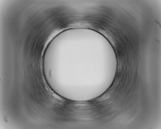 X0000096211486200802081450