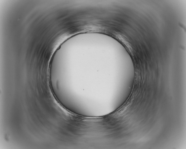 X0000096211487200802081450