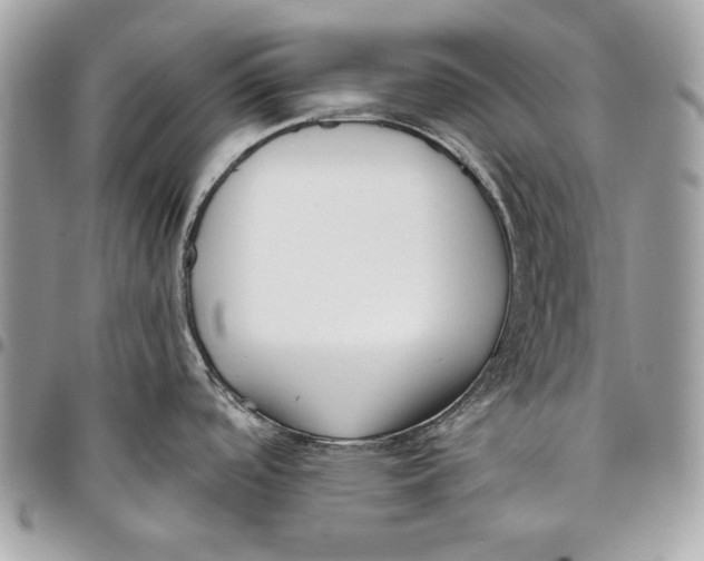 X0000096211488200802081450