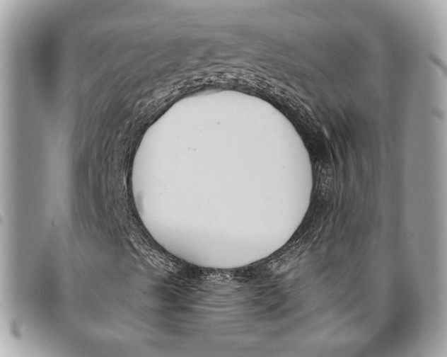 X0000096211489200802081449