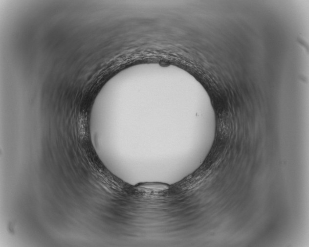 X0000096211490200802081449