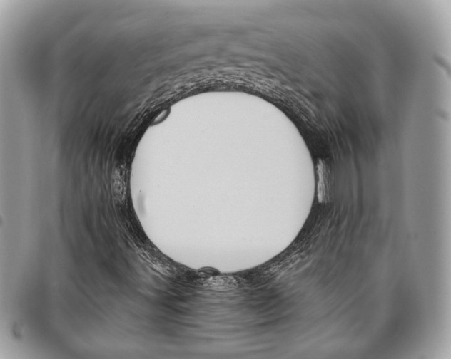 X0000096211491200802081449