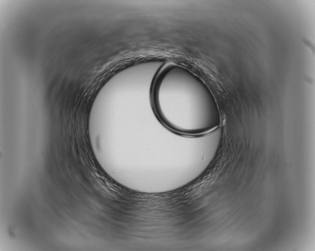 X0000096211492200802081449