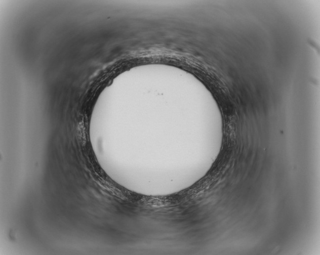 X0000096211493200802081449