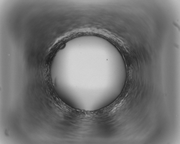 X0000096211494200802081449